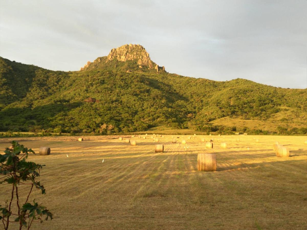 Okra Villa Kenting Eksteriør bilde